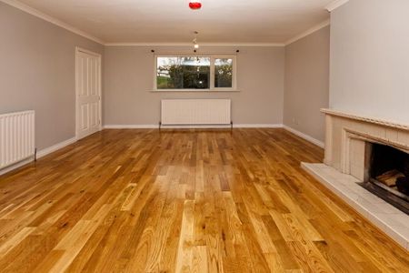 75 Hillside Road, Ballynahinch, BT24 8UL - Photo 2