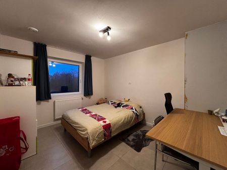 Recente halfopen bebouwing met 3 slaapkamers op rustige ligging te Handzame - Photo 4