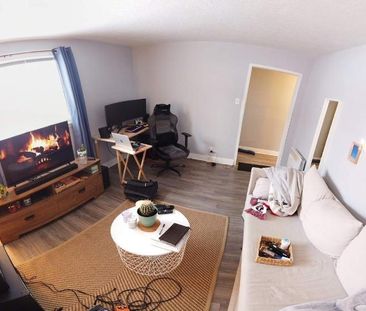 1 CH - 1 SDB - Québec - $967 /mo - Photo 2