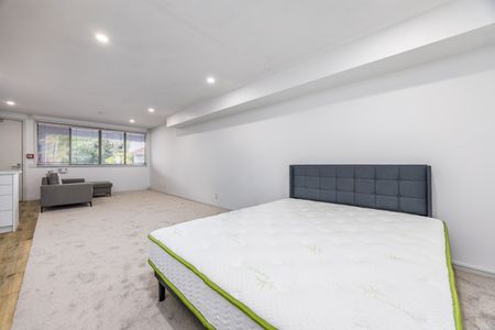 Furnished Studio in Prime Grey Lynn - Photo 3