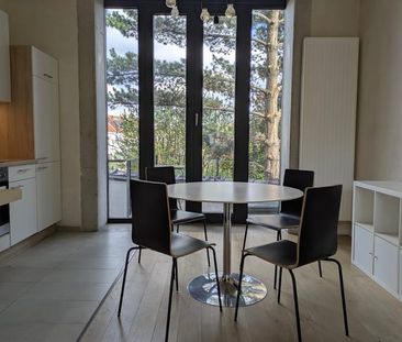 Duplex te huur - Photo 4