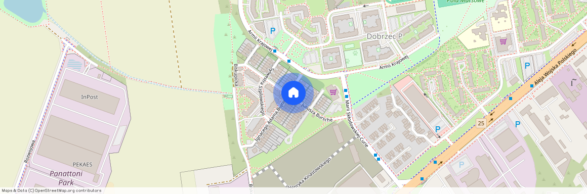 ul. Juliusza Bursche, Dobrzec, Kalisz, wielkopolskie