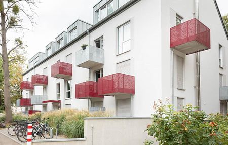! Studenten aufgepasst ! möblierte Wohnungen in Bonn Weststadt zu vermieten. - Foto 2
