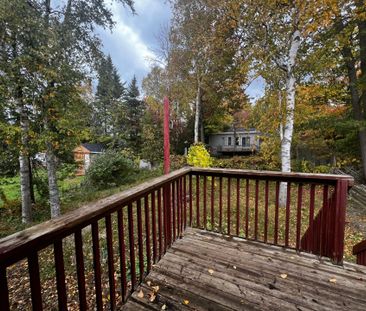 For Lease - 59 Lee Street, Wasaga Beach, Ontario - Photo 3