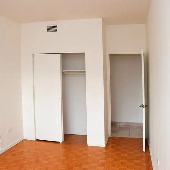 3555 Rue Berri apartment — Montréal, QC (1-Bedroom) - 1 Bedroom - Photo 1