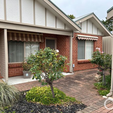 Open the Door To Light-Filled Living in a Peaceful Parkside Setting - Photo 3