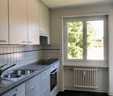 2 Zimmer, 48 m², 1. Stock - Photo 1