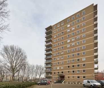 Apartment Den Haag - Hongarenburg - Photo 2