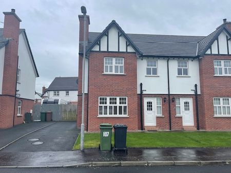 107 Lisnisky Lodge, Portadown, BT63 5GU - Photo 4