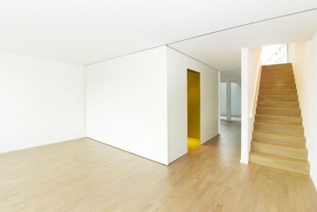 Duplex apartment with view of Lenzburg Castle - Photo 2