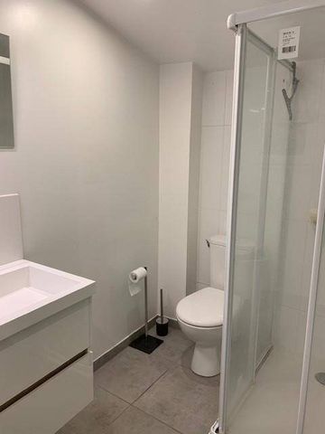 Location appartement ancien 1 pièce 39 m² à Chavanay (42410) - Photo 2