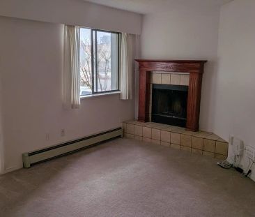 3026, 3044 & 3046 Clearbrook Road — 2D - Photo 2