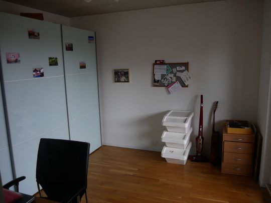 41/2-ROOM APARTMENT IN BERN - FELSENAU/TIEFENAU, FURNISHED, TEMPORARY - Photo 1
