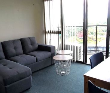 Sunny and Spacious 2 Bedroom Fully Furnished Apart - Photo 1