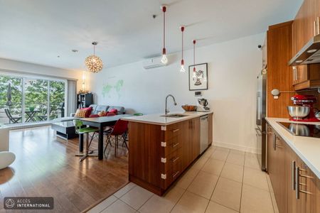 MR068 - Apartment Rosemont/Petite-Patrie, Montreal - Photo 3