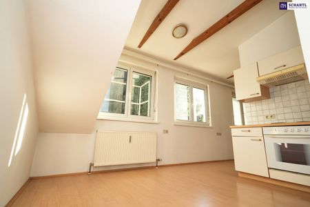 EINZIEHEN & WOHLFÜHLEN! Grün, zentral, genial – Wohnen mit Wohlfühlfaktor im Herzen von Graz! - Photo 2