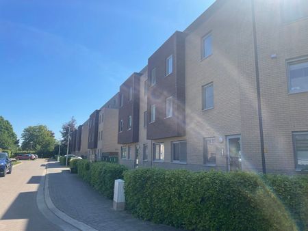 Appartement te huur in Tienen - Photo 2