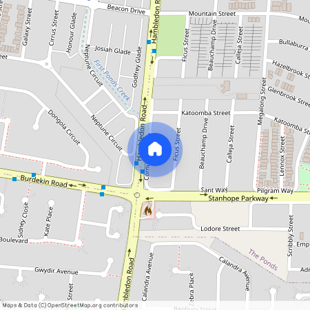 59 Cornus Crescent, NSW 2769, The Ponds