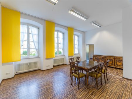 Große, exklusive barrierefreie Schlosswohnung mit modernen Einbauküchen, großem eigenem Garten, mehreren Tageslichtbädern und Park! - Photo 2