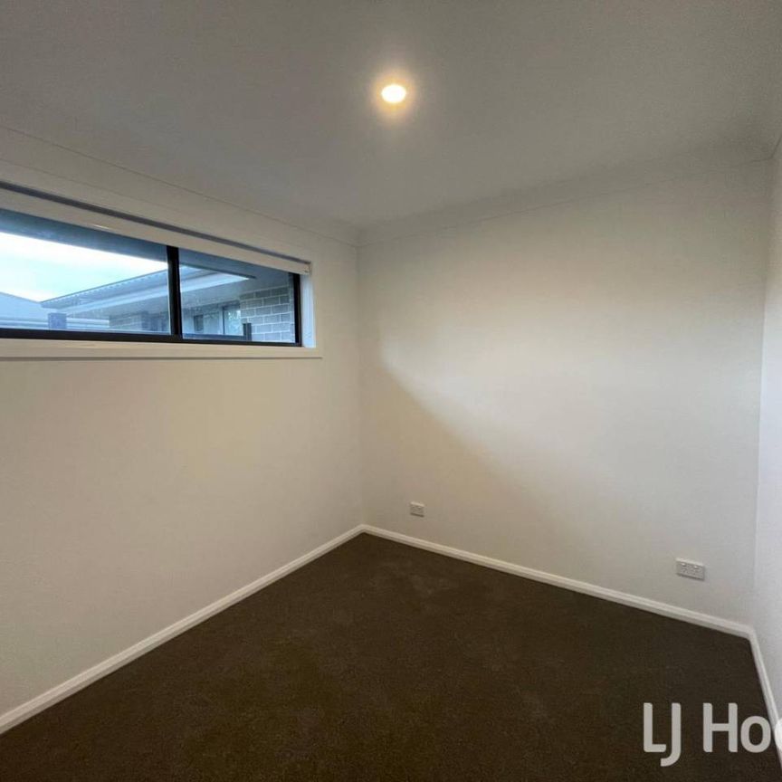 Modern, Near New Unit – Ross Hill - Photo 1