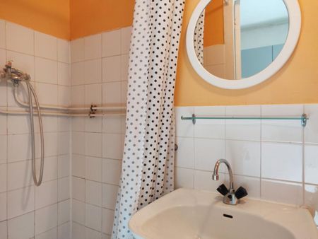 APPARTEMENT T1 A LOUER A ROANNE - CENTRE VILLE - Photo 5