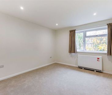 A newly renovated one bedroom apartment - Photo 2