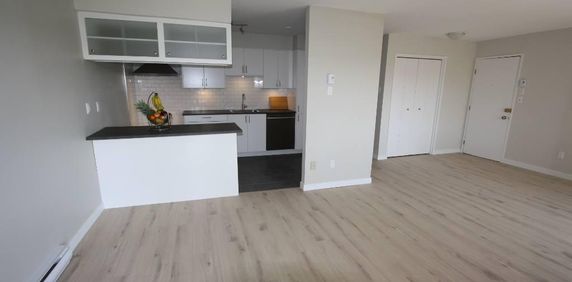 BOUCHERVILLE, spacieux 4 1/2 à louer de style Condo à aire ouverte (1000pi carré). - Photo 2