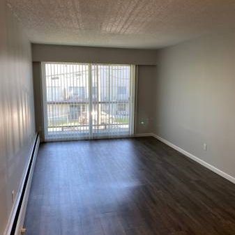 1 Br APARTMENT - GREAT CENTRAL LOCATION - Photo 4