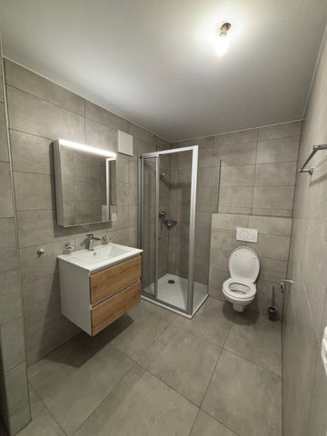 Very nice 2.5 room apartment with terrace, close to shops - Foto 2