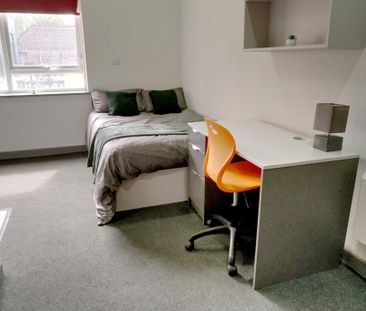 Studio to rent - Photo 6