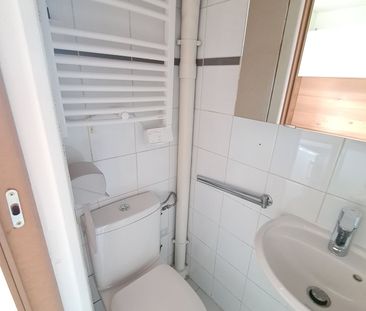 Location Appartement 1 pièce 18m² PALAISEAU 91120 - Photo 3