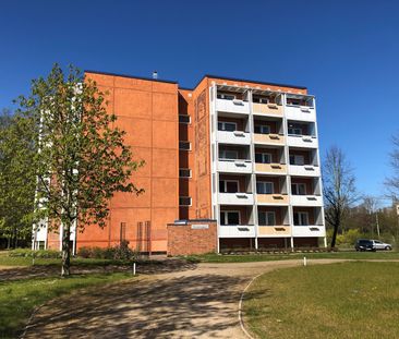 1-Zimmer-Wohnung mit Westbalkon in Rostock-Groß Klein - Photo 2