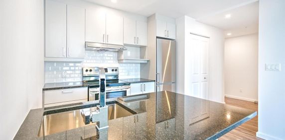 1 chambre - 280 René-Lévesque Ouest, Montréal - Photo 2