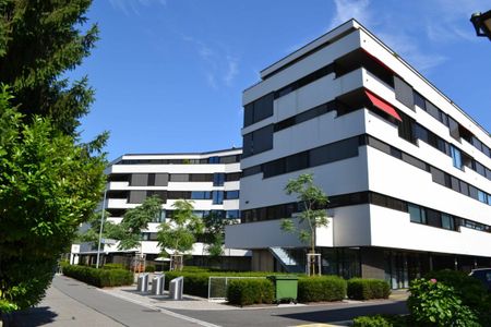 Zentrale Attika-Wohnung in Rapperswil - Foto 5
