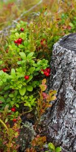 Ingatorpsvägen 1, Rumskulla - Foto 3