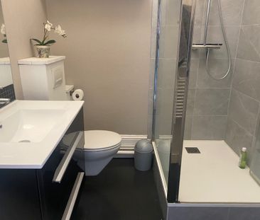 Location Appartement 2 pièces 51m² COGNAC 16100 - Photo 6