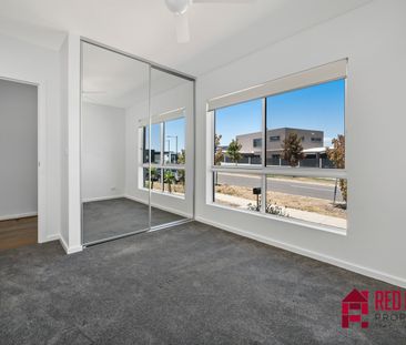 26 Toeplitz Street, Whitlam ACT 2611 - House For Rent | Domain - Photo 6