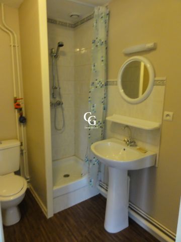 Location Appartement 1 pièce 18m² NANTES 44000 - Photo 3