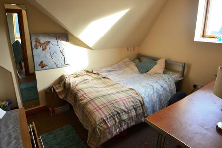 Harriet Street, Cathays - Photo 5