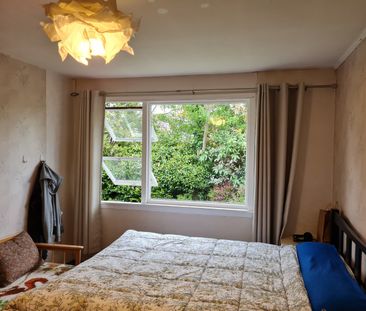 17 Waimairi Road, Upper Riccarton - Photo 4