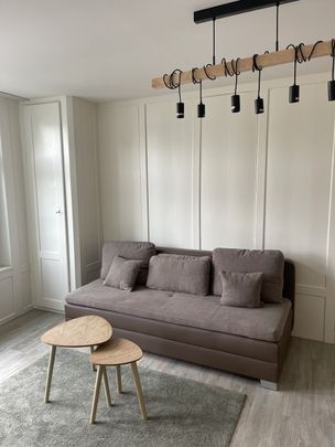 Nachmieter/in per sofort gesucht. wunderschöne 2,5-Zimmer-Wohnung in der Altstadt von Schaffhausen - Photo 1