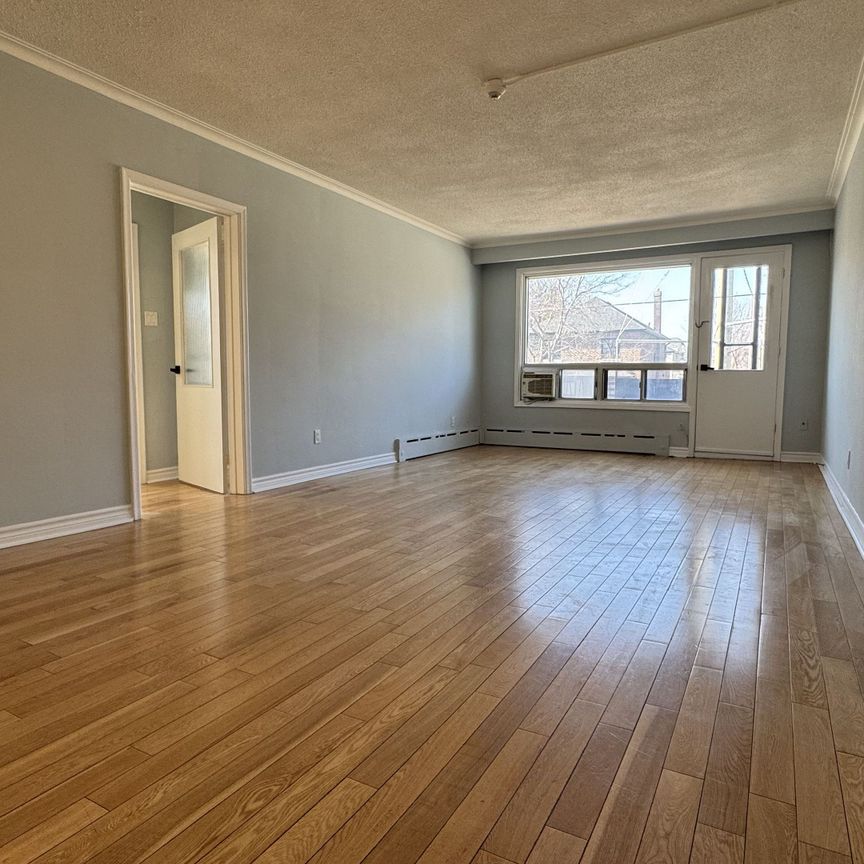 For Lease - 139 Royal York Road Unit# 3, Toronto, Ontario - Photo 1