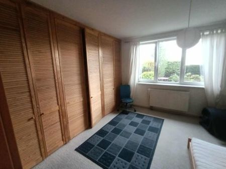 Jelenia Góra - Фото 3