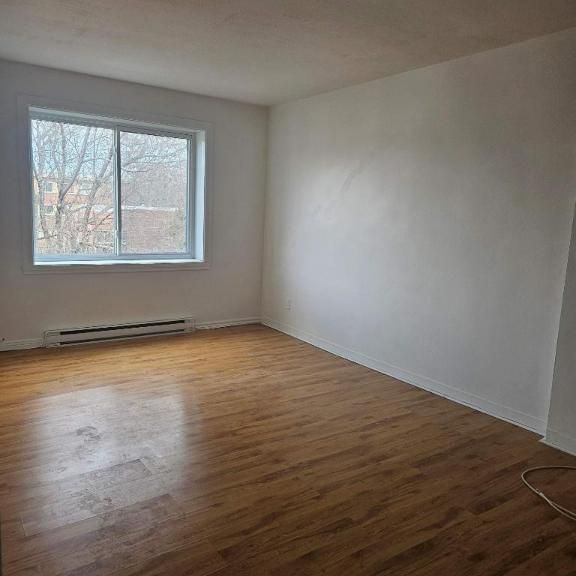 1 CH - 1 SDB - Montréal - $1,245 /mo - Photo 1