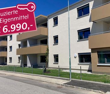 Wohnung in Gmünd - Foto 6