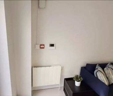 Classic Large Apartment - Photo 1