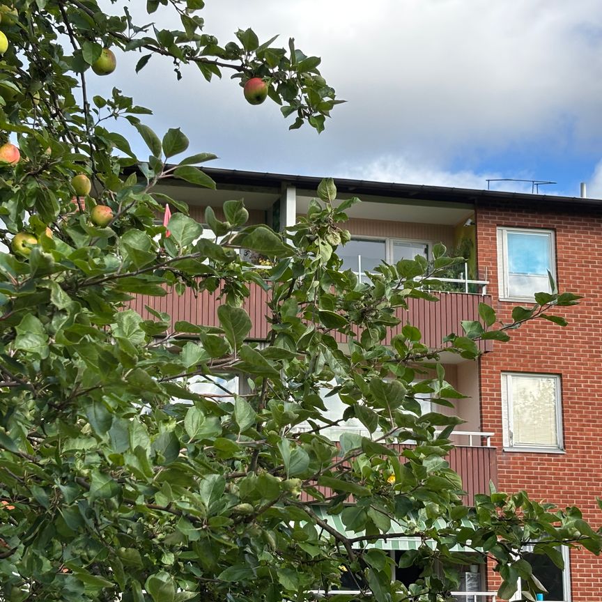 Våmmedalsvägen 130 - Photo 1