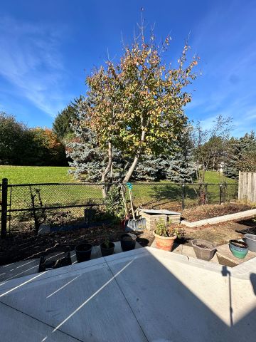 For Lease - 10 Nuttall Street, Brampton, Ontario - Photo 3