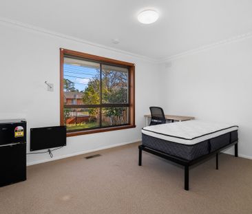 Clayton - Photo 4