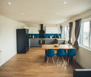 1 Bedroom Halls To Rent in Lansdowne - From £166.75 pw Tenancy Info - Photo 4